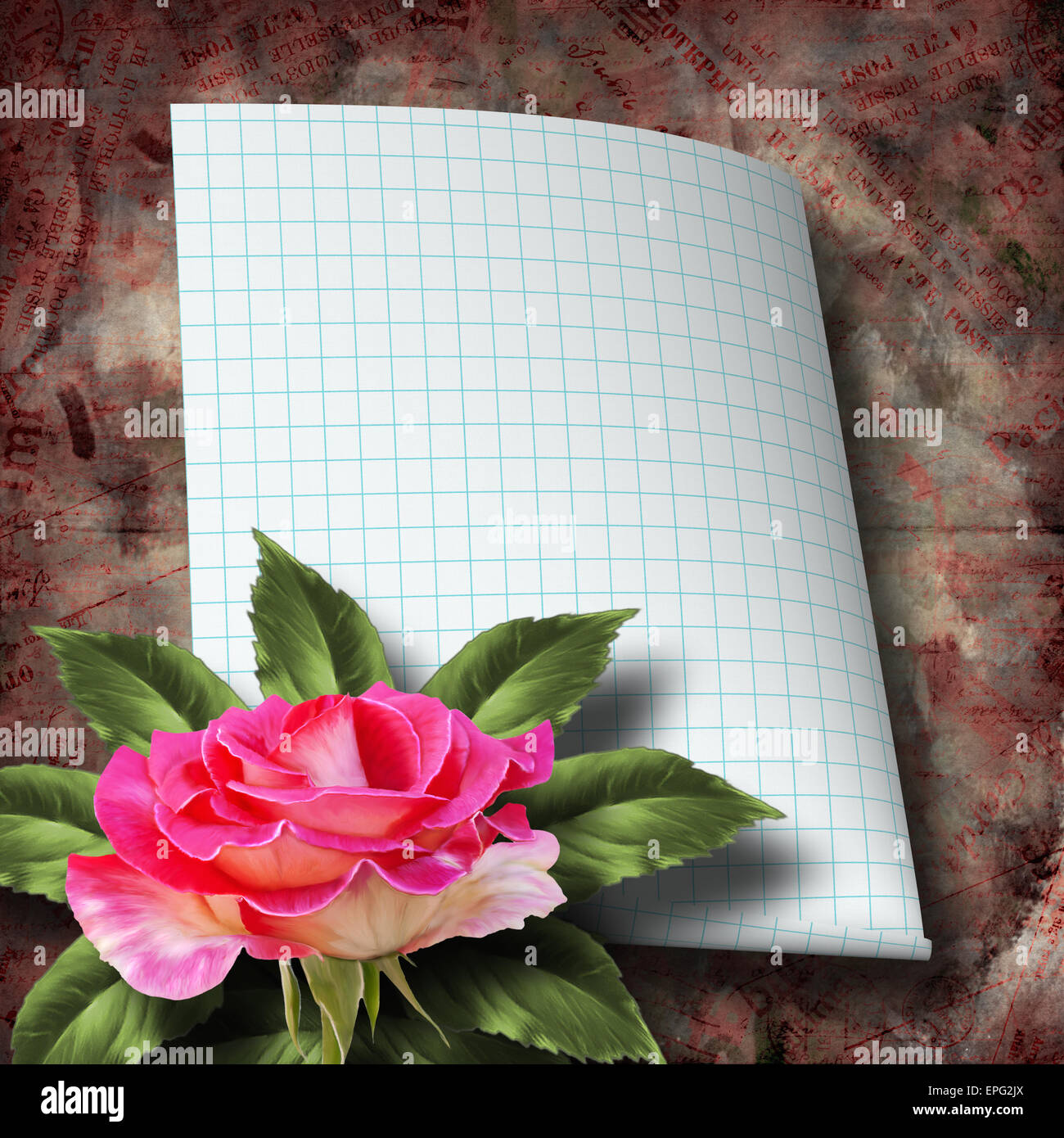 Beautiful hand drawn rose branch and sheet of paper on abstract ...