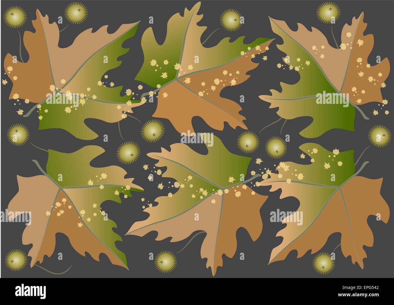 Background from autumn leaves and fruits Stock Vector Image & Art - Alamy