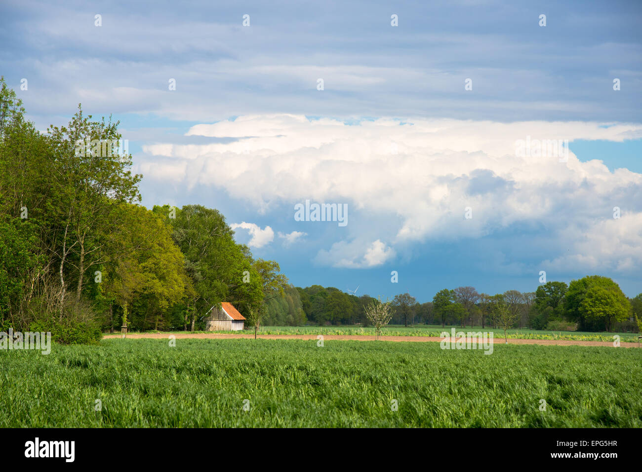 panorama of achterhoek holland Stock Photo
