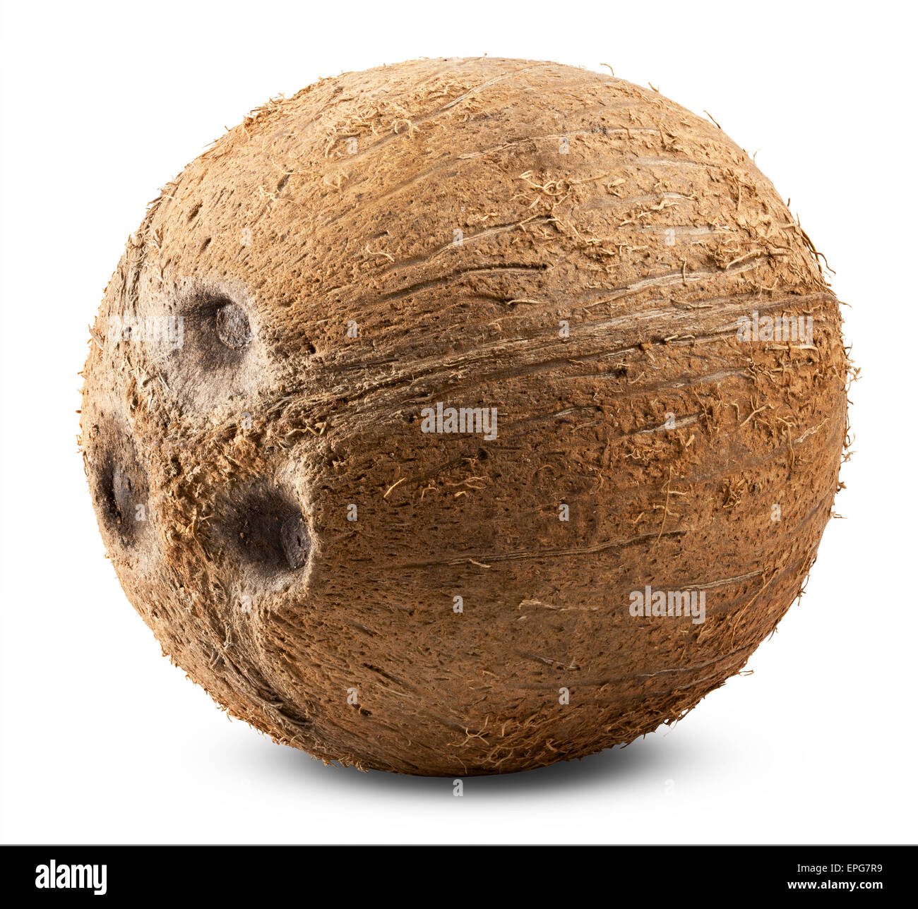 Hairy Coconut High Resolution Stock Photography and Images Alamy