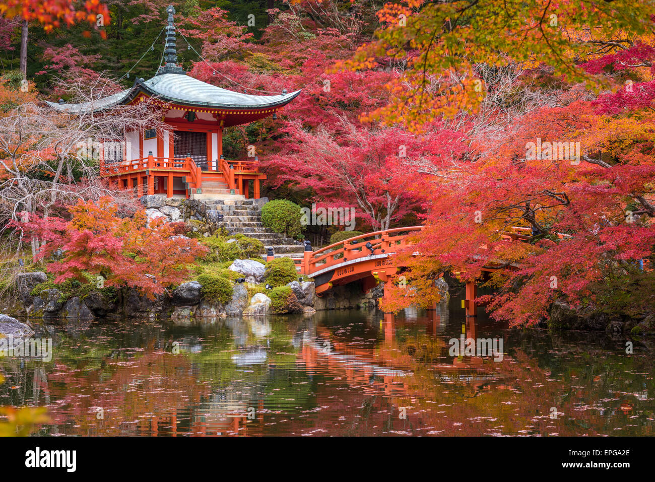 Daigoji temple in maple trees, momiji season, Kyoto, Japan Stock Photo