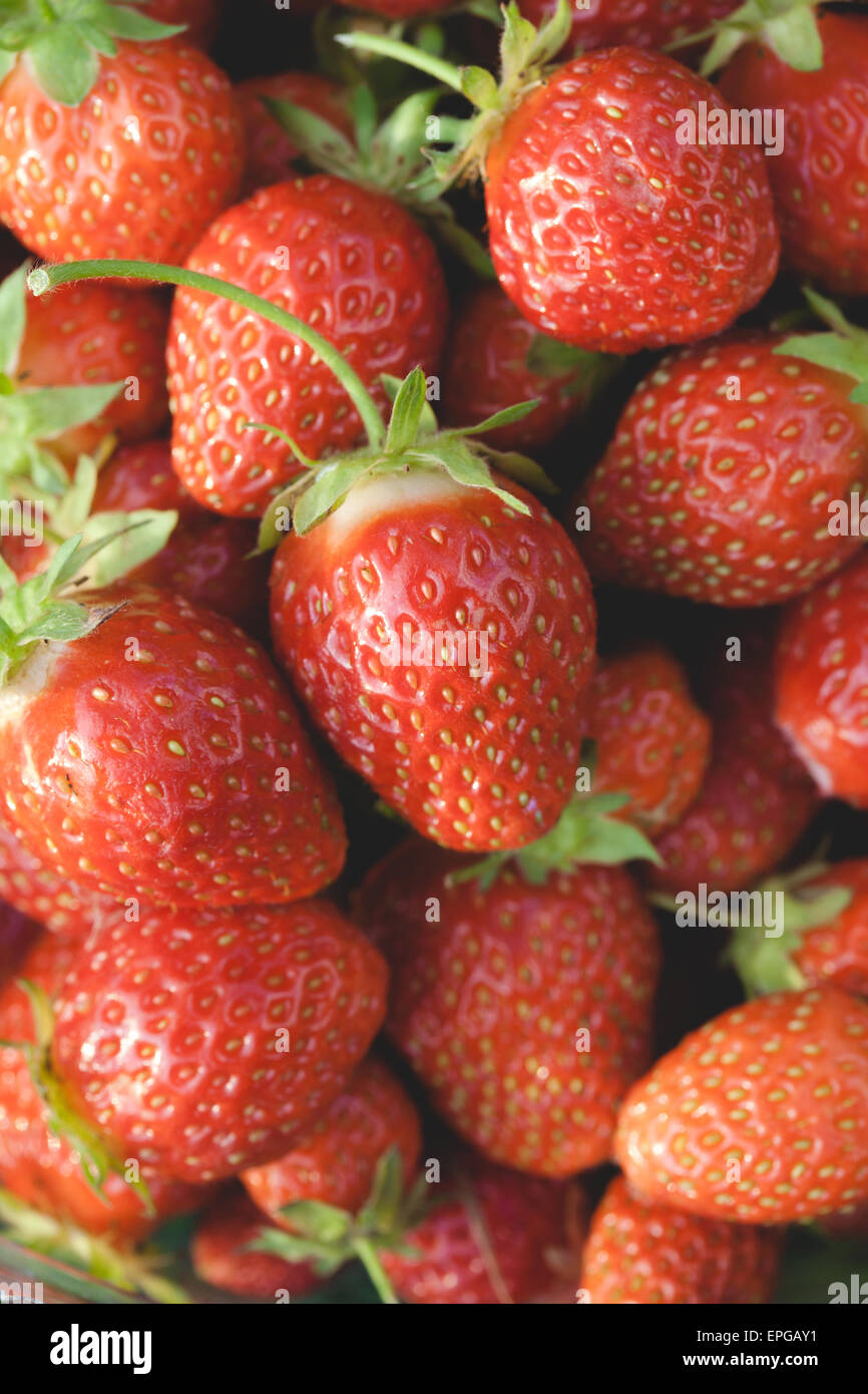 Honeoye garden hires stock photography and images Alamy