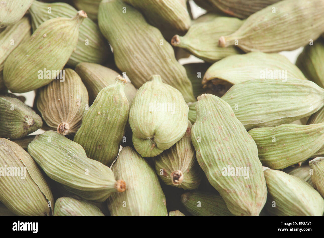 Green cardamom pods Stock Photo Alamy
