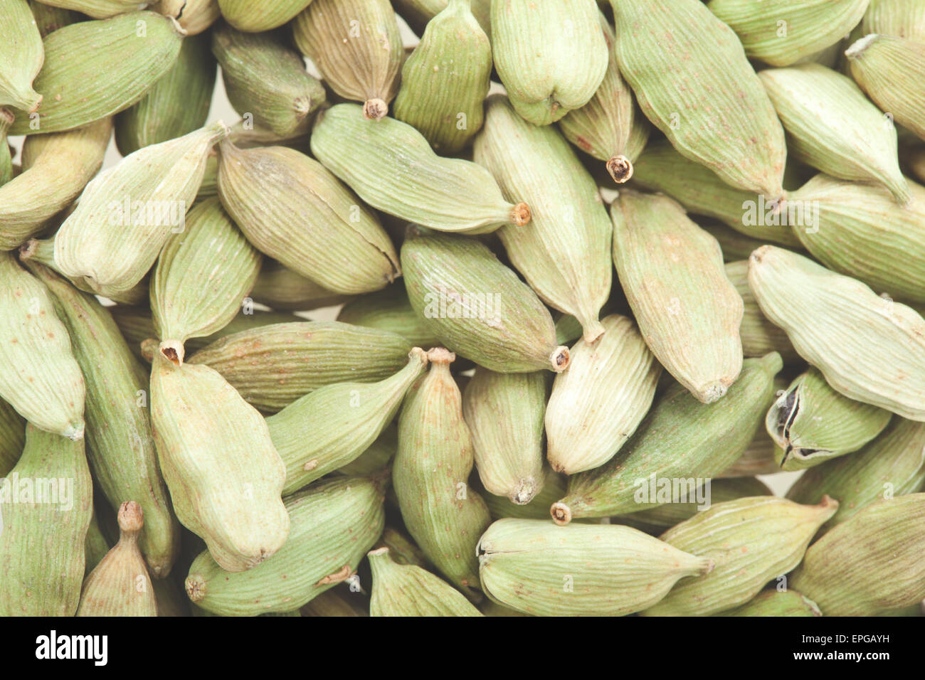 Green cardamom pods Stock Photo Alamy