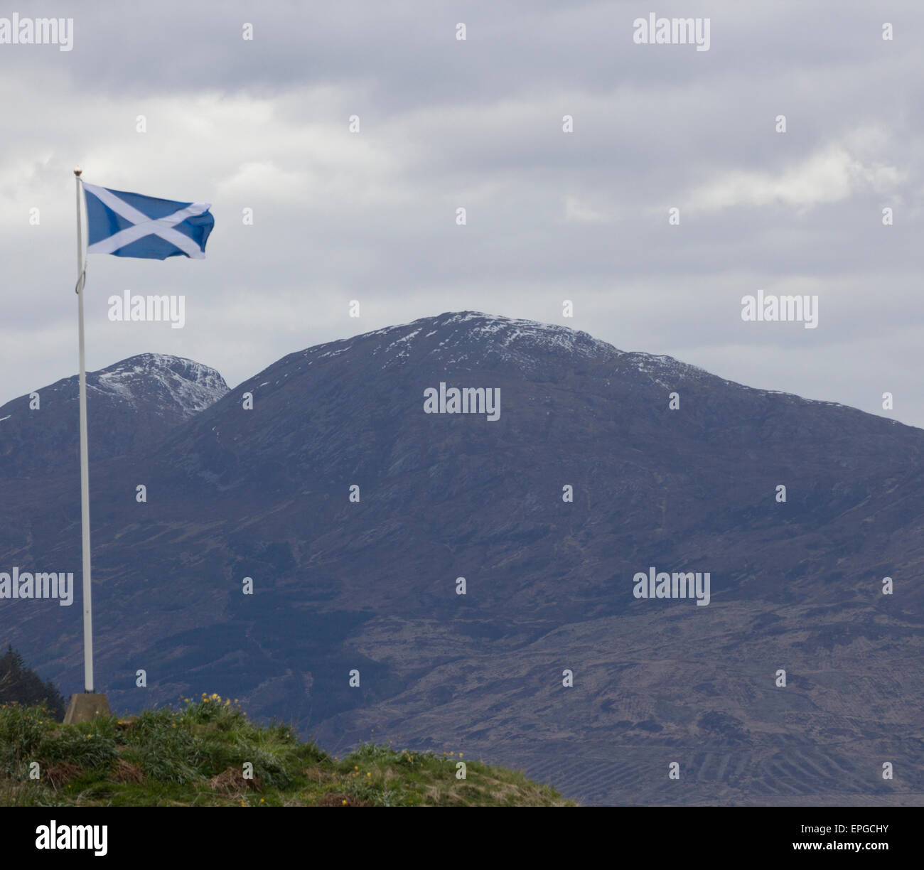 A Saltire with the cross of St Andrew, flag of Scotland fluttering in a breeze. Stock Photo