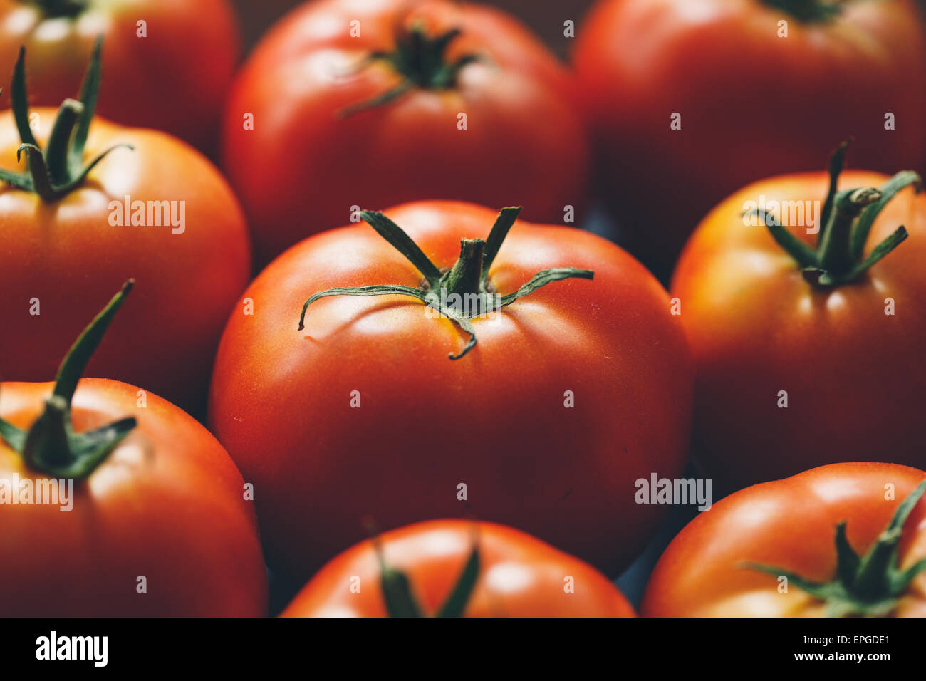 Ripe tomatoes Stock Photo