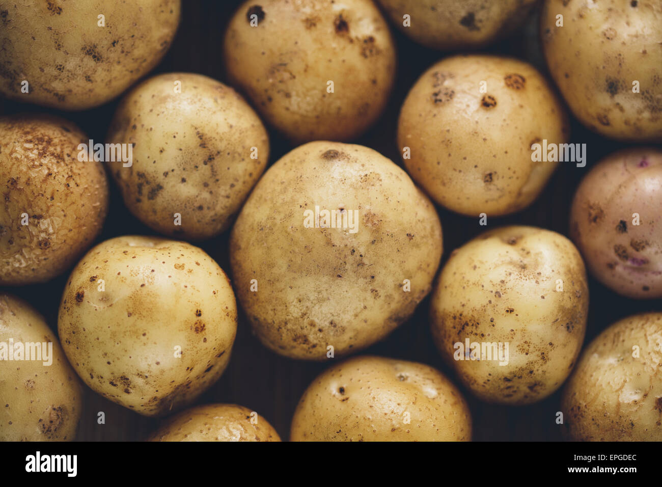 Fresh potato tubers Stock Photo