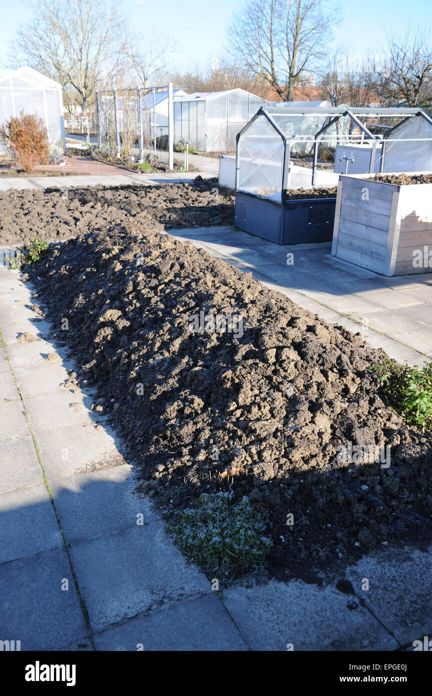 Breaked up soil in raised bed Stock Photo Alamy