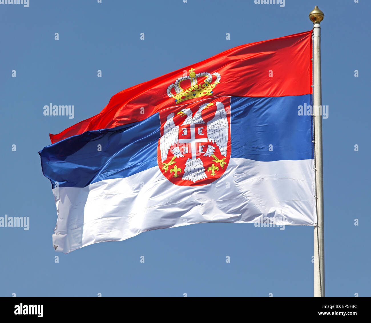 Serbian flag Stock Photo