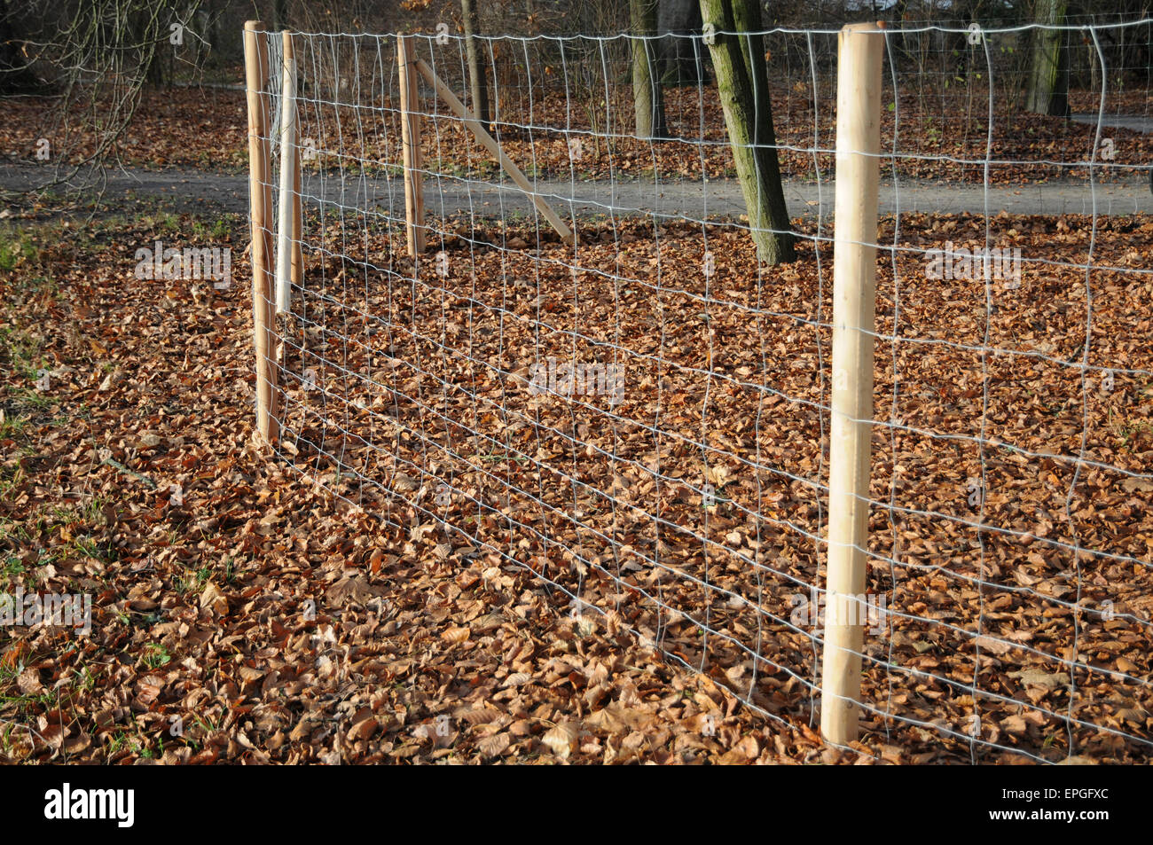 Medal fence Stock Photo