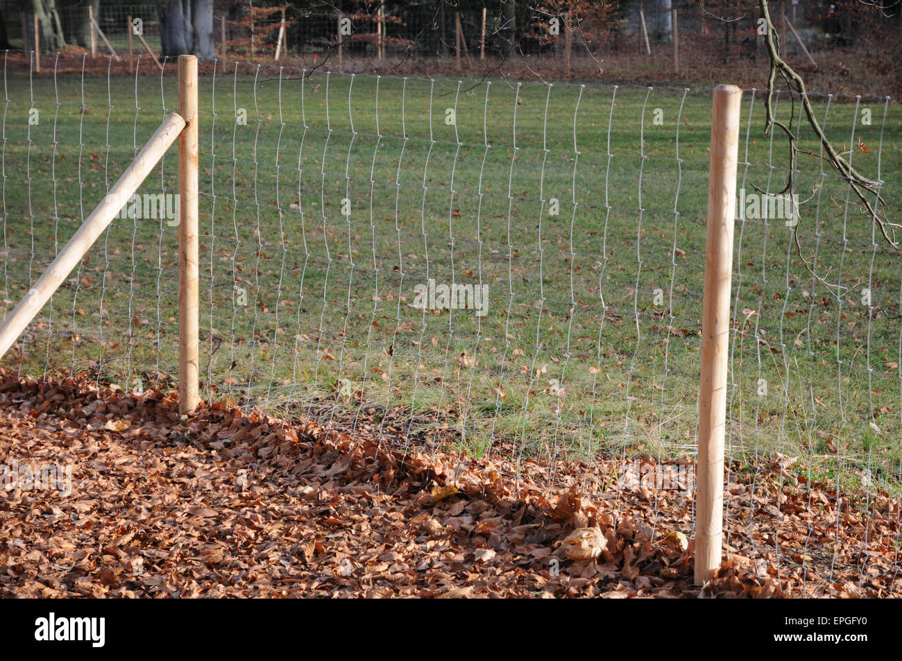Medal fence Stock Photo