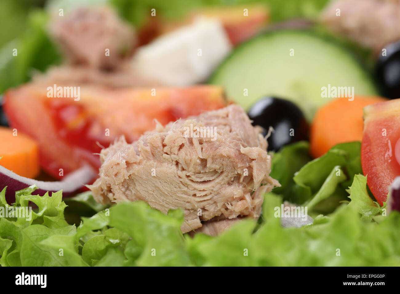 Nahaufnahme Salat mit Thunfisch, Tomaten und Oliven Stock Photo - Alamy