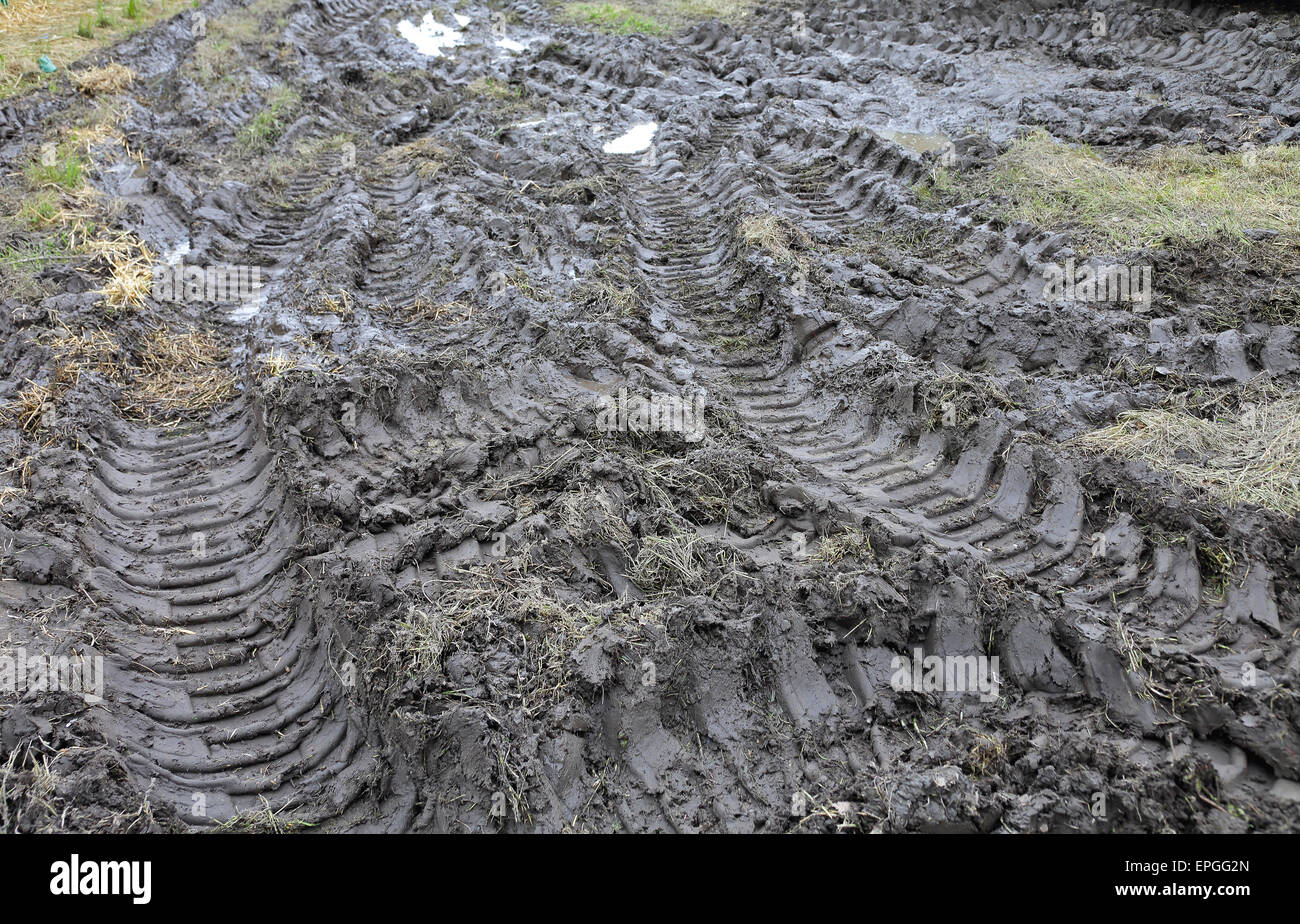 Mud hi-res stock photography and images - Alamy