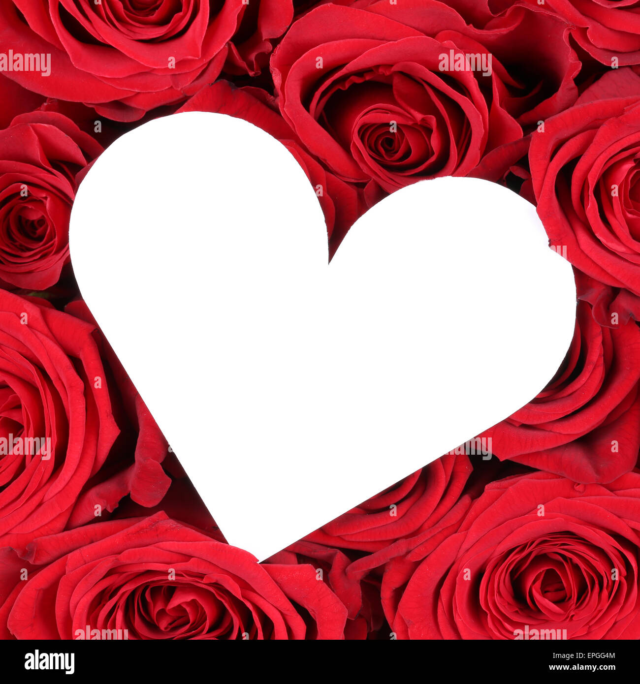 Rote Rosen mit Herz als Zeichen der Liebe zum Valentinstag Stock Photo -  Alamy