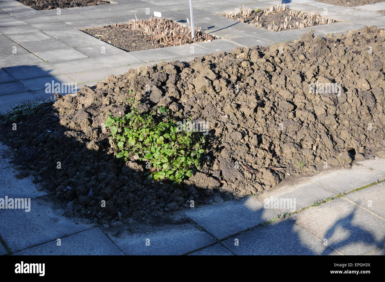Breaked up soil in raised bed Stock Photo Alamy
