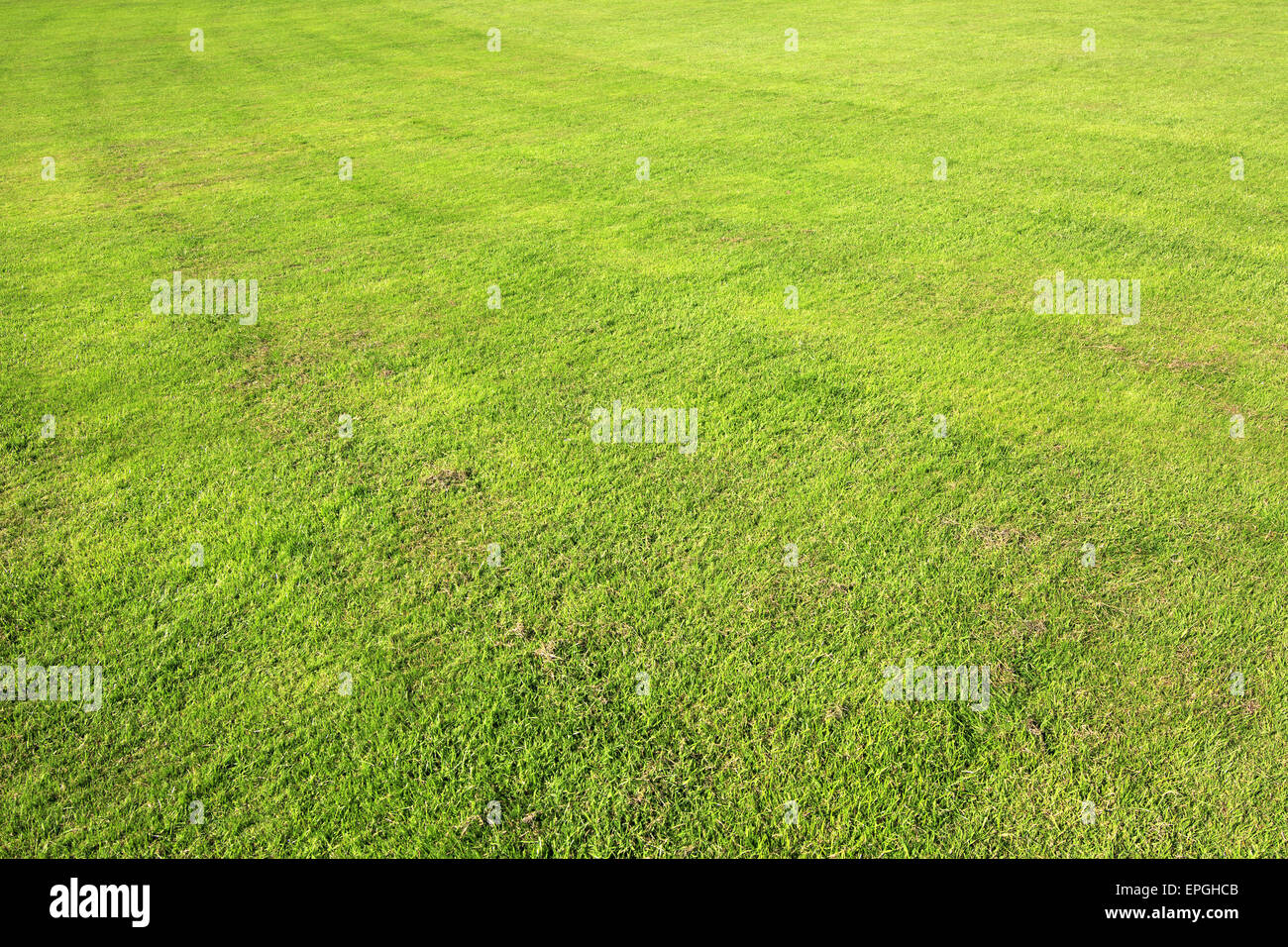 Lawn in summer hi-res stock photography and images - Alamy