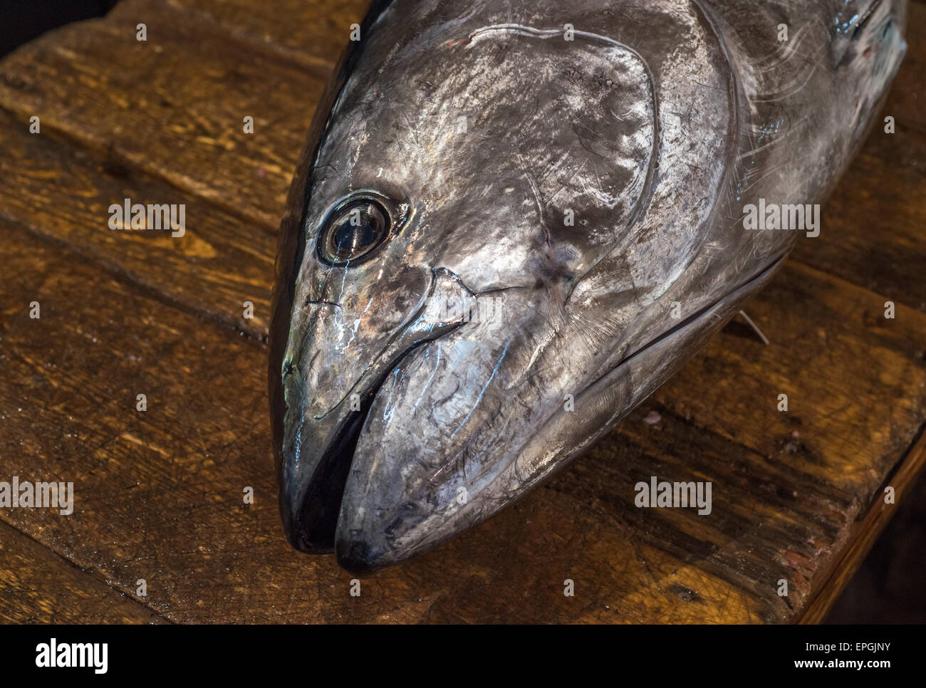 Tuna head at Tsukiji fishmarket, Tokyo, Japan Stock Photo Alamy
