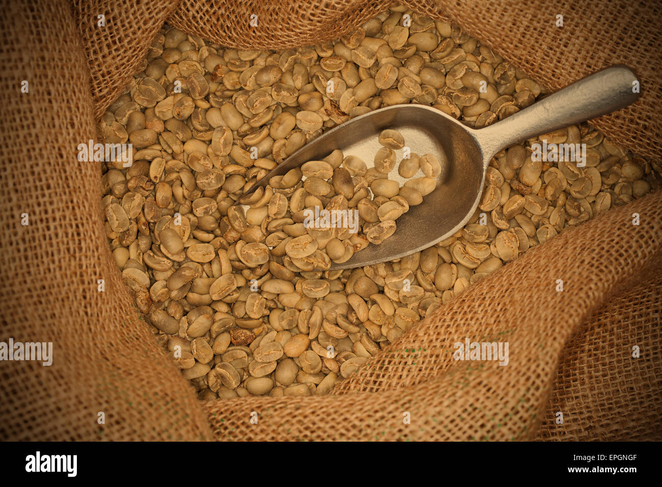raw coffee beans Stock Photo Alamy