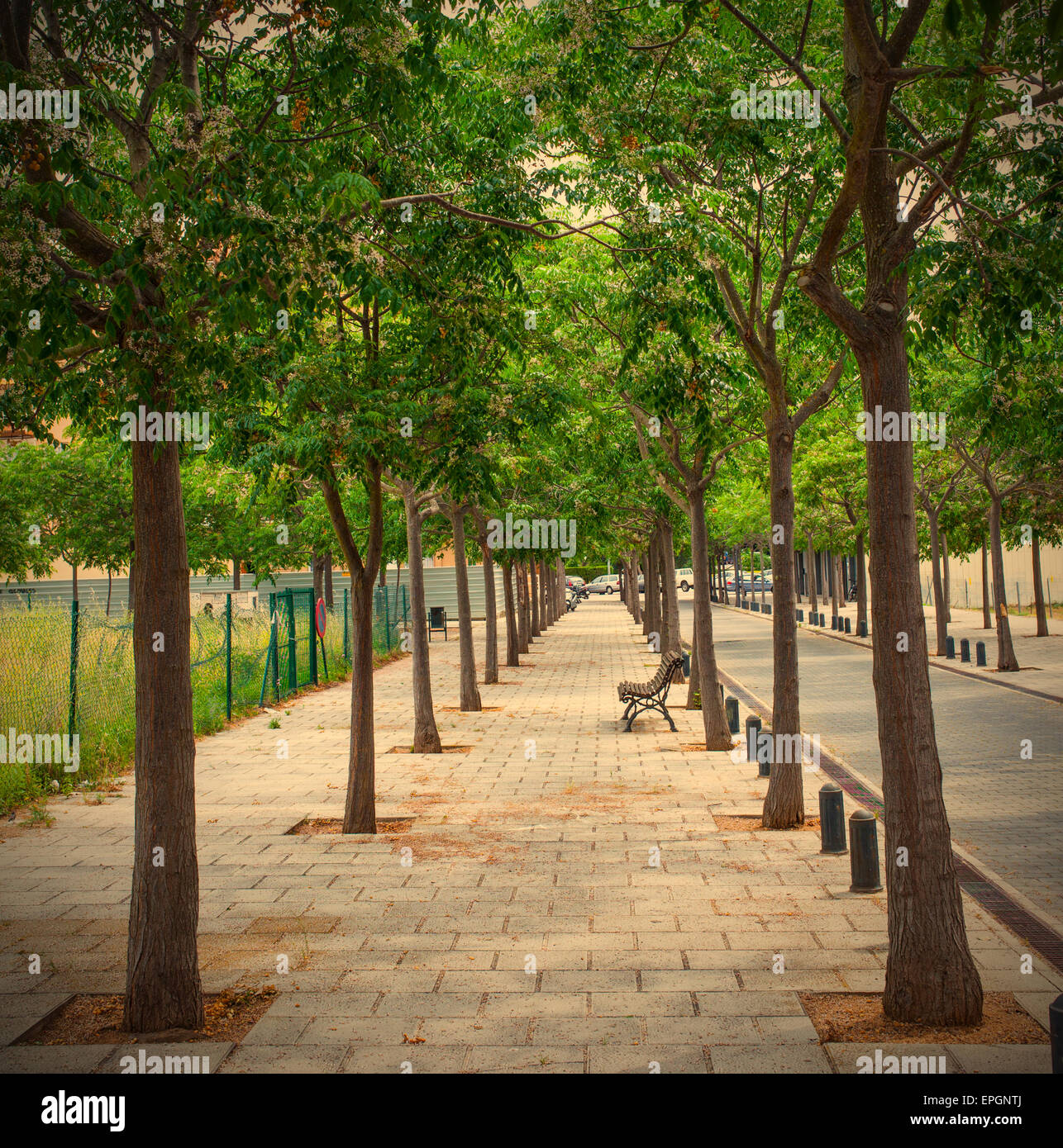 Bench in alley hi-res stock photography and images - Alamy
