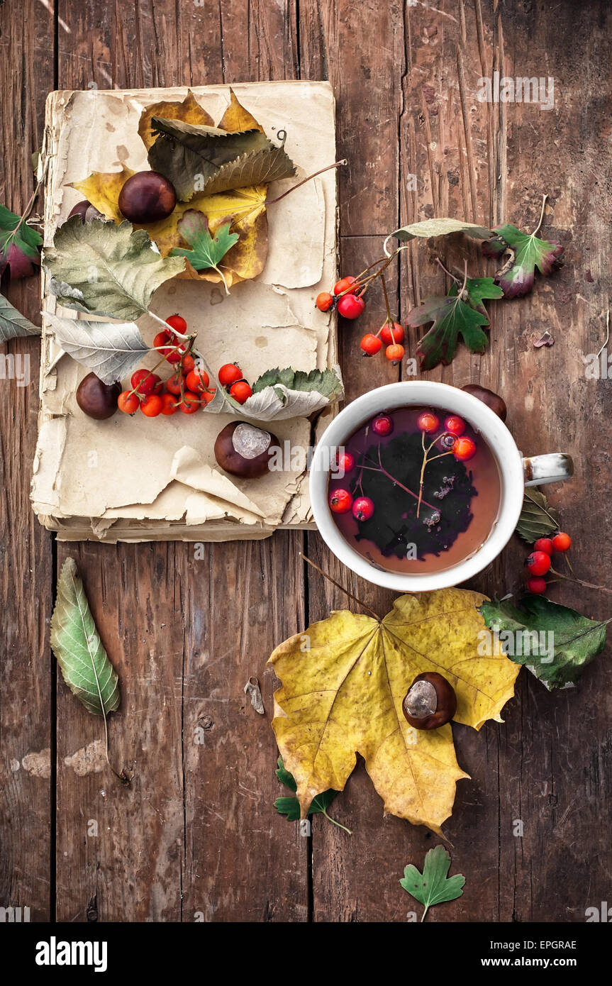 Vintage book autumn maple hi-res stock photography and images - Alamy