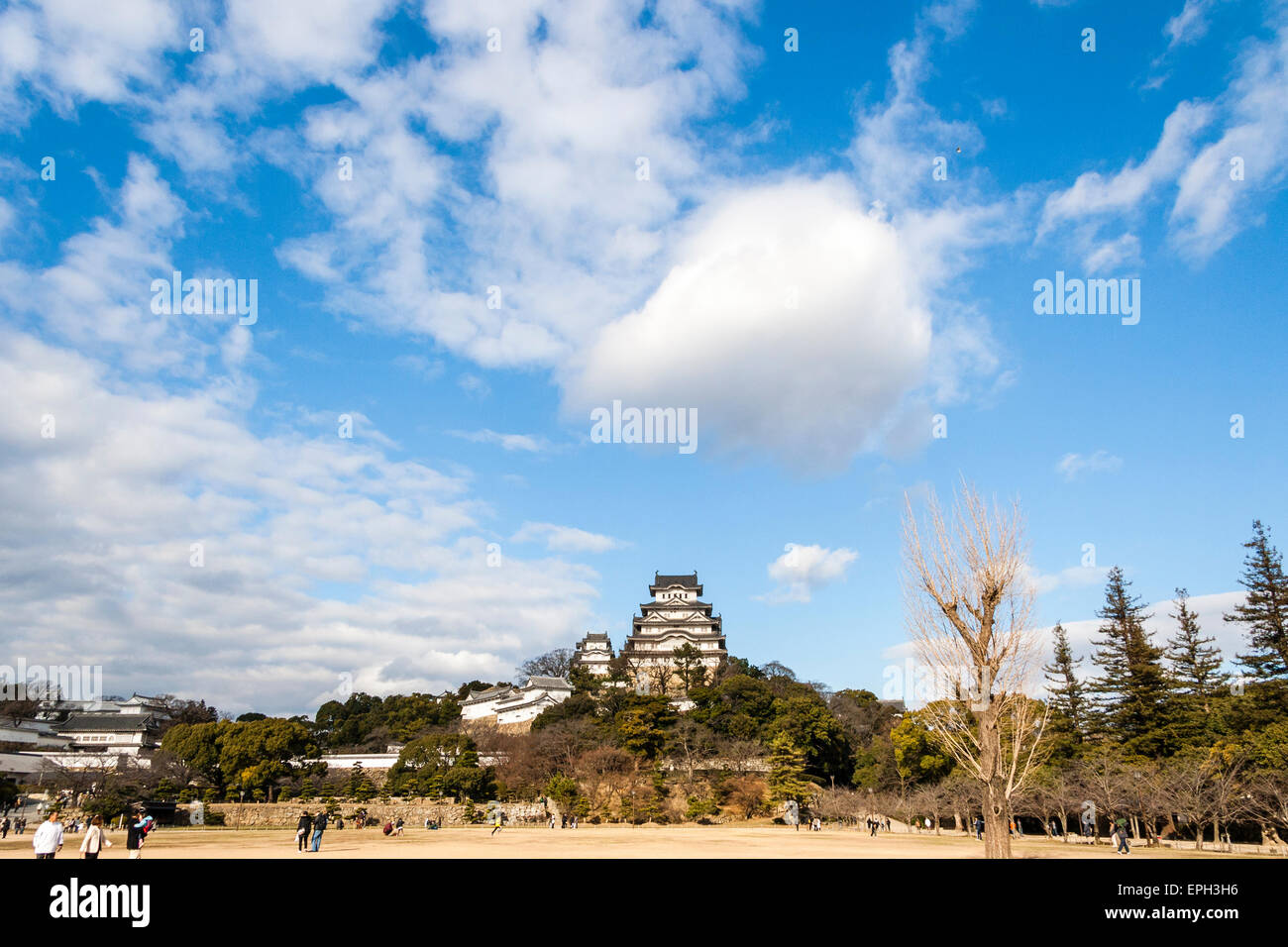 Wide angle iconic view across park of the castle at Himeji with it's keep towering above all, and large expense of blue sky with white clouds above. Stock Photo