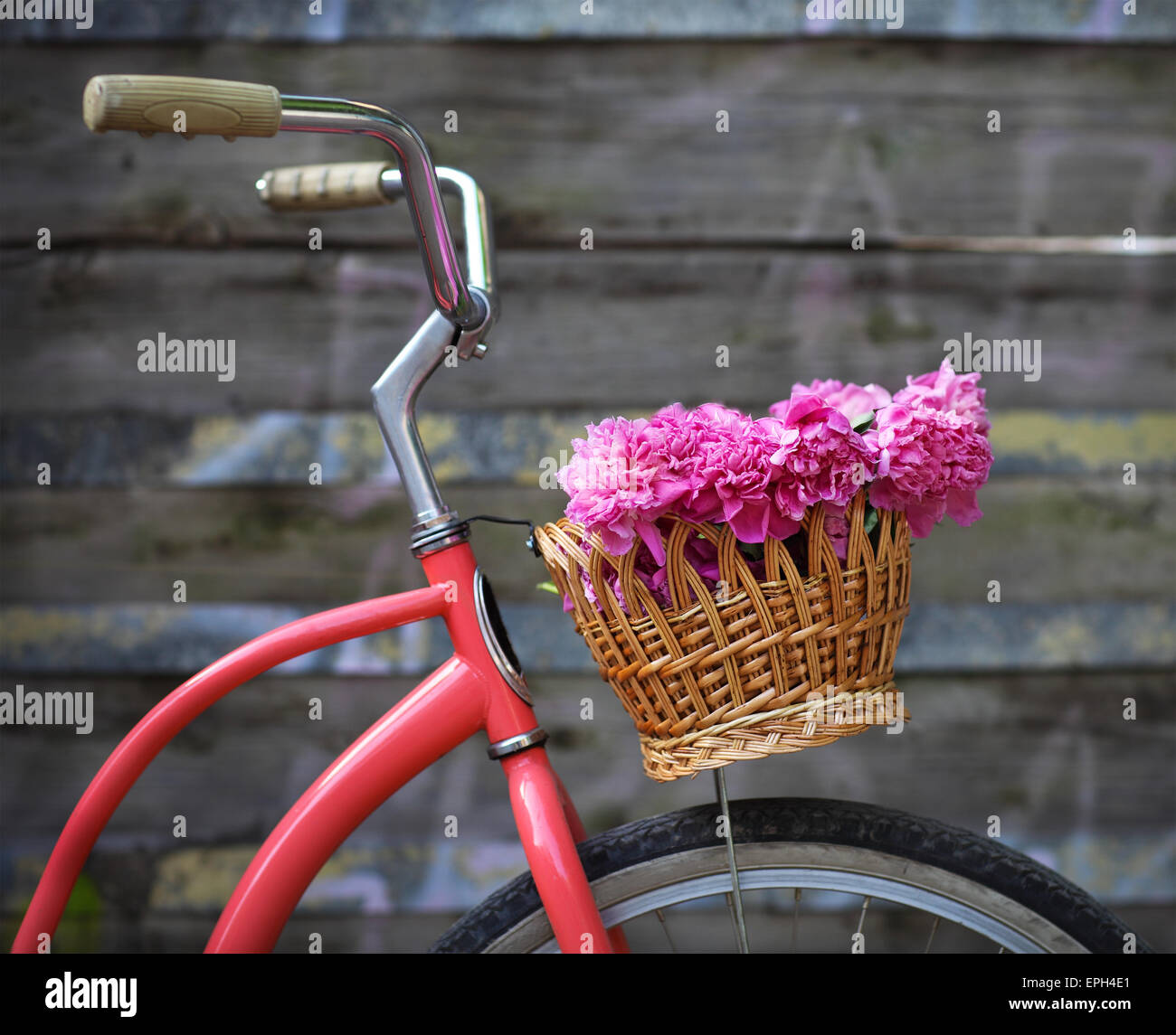 Vintage bicycle with basket with peony flowers Stock Photo Alamy