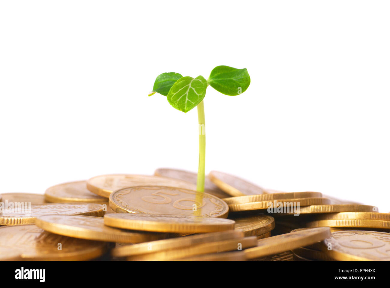 Green plant growing from the coins Stock Photo Alamy