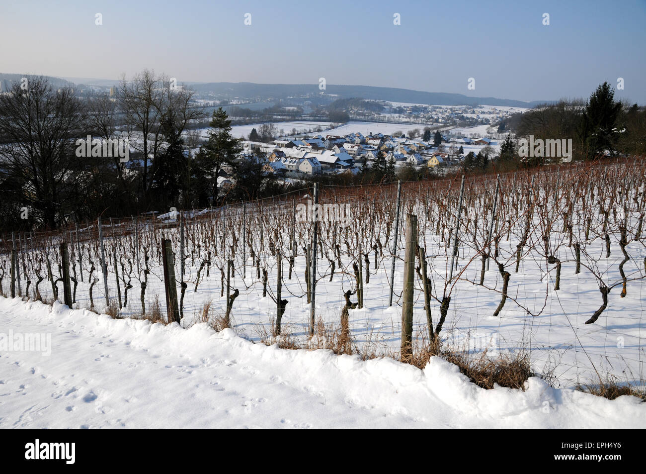 Weinberg im winter hi-res stock photography and images - Alamy