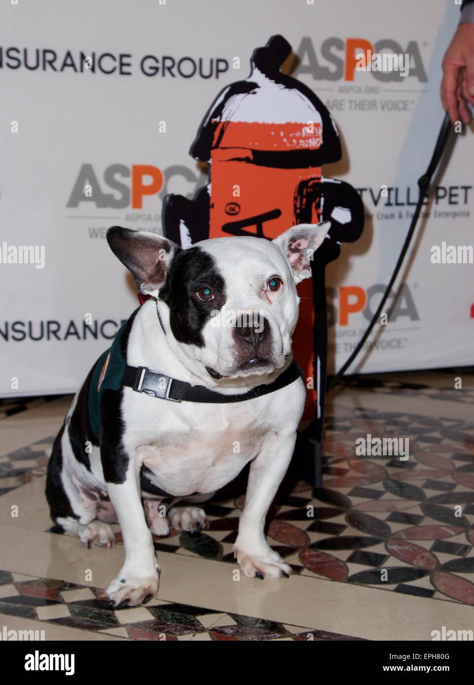 ASPCA’S Annual Humane Awards Luncheon at Cipriani 42nd Street Featuring ...