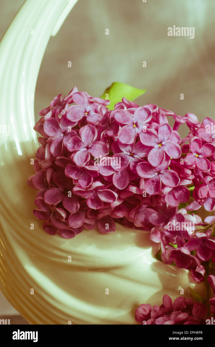 lilac flowers in white vase Stock Photo