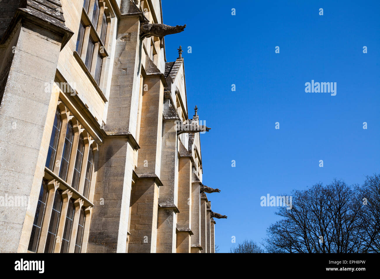 Gargoyles at Woodchester mansion, Gloucestershire, England Stock Photo