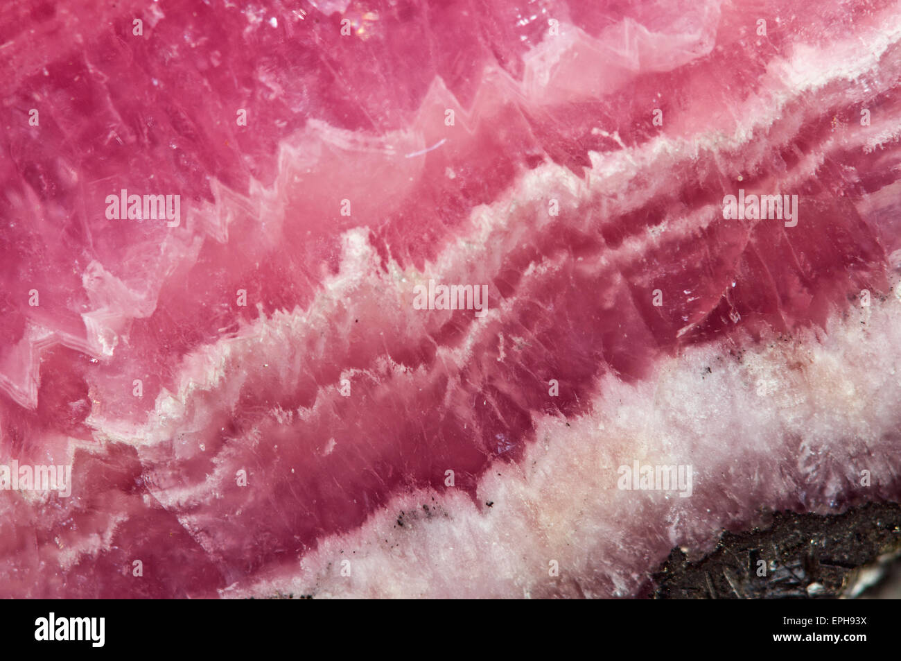 Rhodochrosite MNCO3. Pink manganese carbonate mineral. Macro. Beautiful fantastic background  for successful business projects Stock Photo