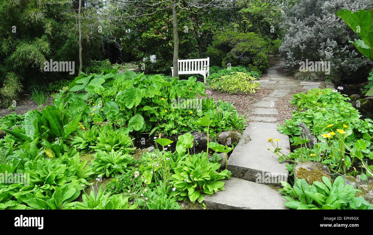 Greenery Treees Garden greenery plants trees woodland Stock Photo - Alamy