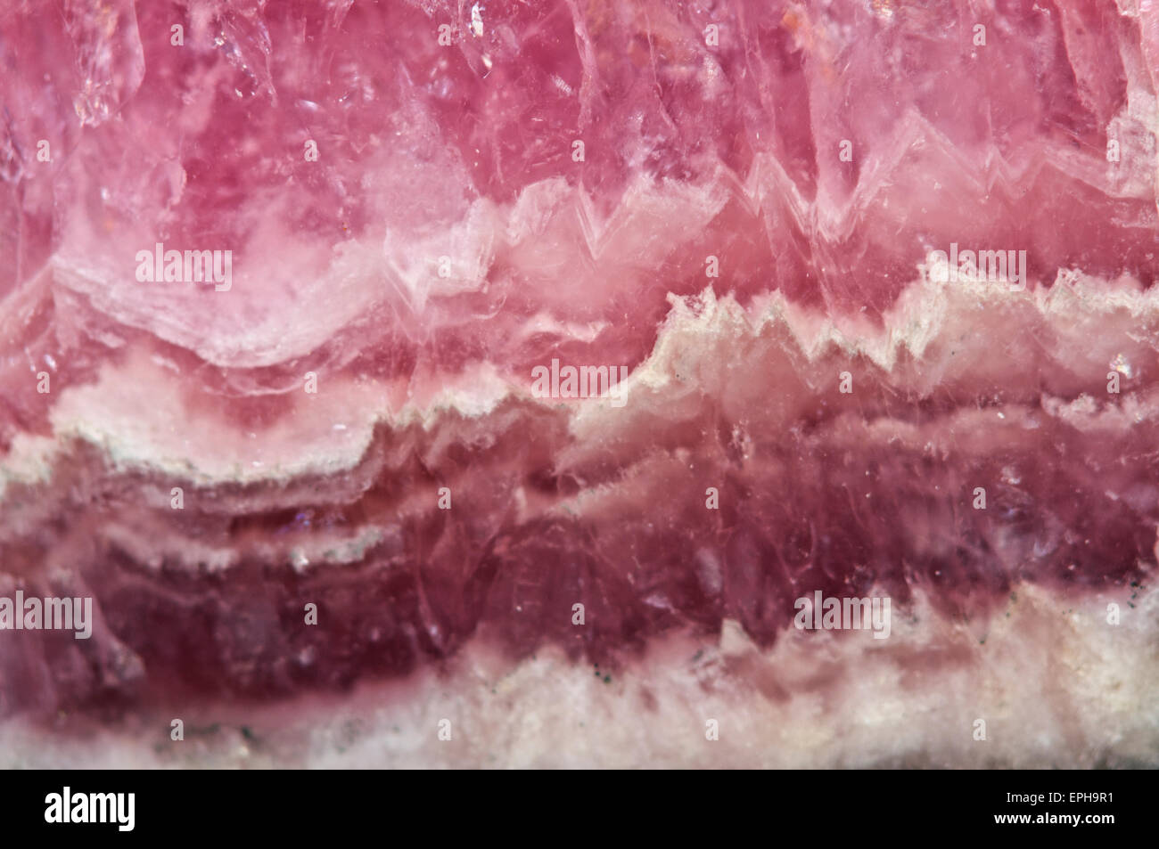 Rhodochrosite MNCO3. Pink manganese carbonate mineral. Macro. Beautiful fantastic background  for successful business projects a Stock Photo