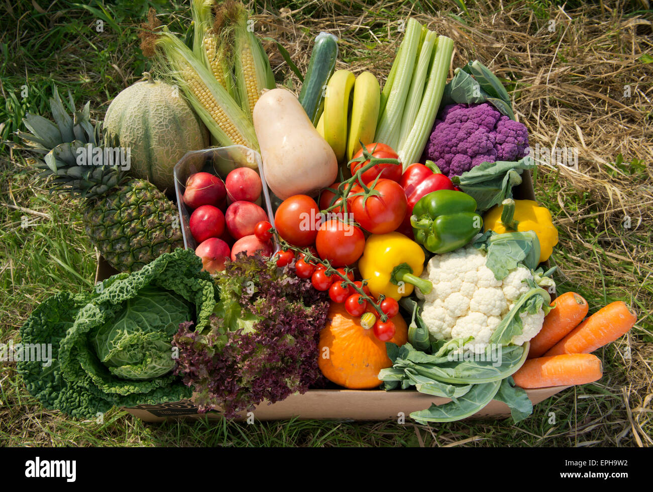 A seasonal veg box including fruit and vegetables ready to be delivered to a customer's home in Wiltshire,UK.a food delivery Stock Photo