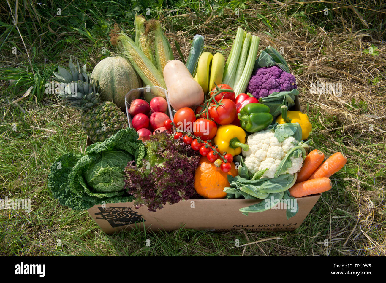 A seasonal veg box including fruit and vegetables ready to be delivered to a customer's home in Wiltshire,UK.a food delivery Stock Photo