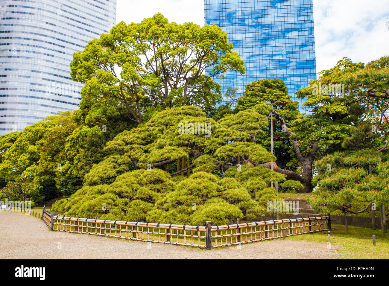 Hama Rikyu gardens with skyscrapers in the background Stock Photo