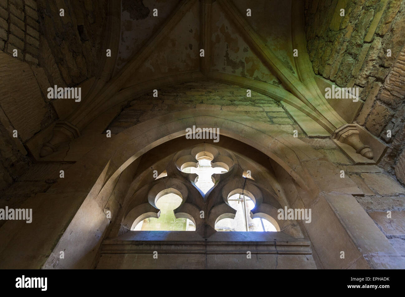 Interior of Woodchester mansion, Gloucestershire, England Stock Photo