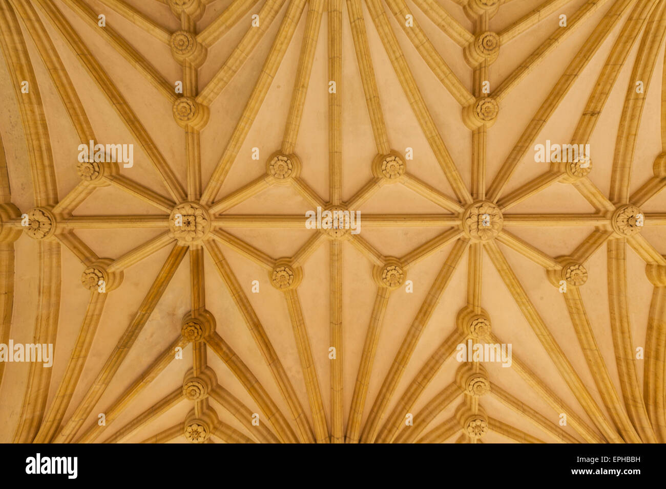 A decorated vaulted ceiling at Woodchester mansion, Gloucestershire, England Stock Photo