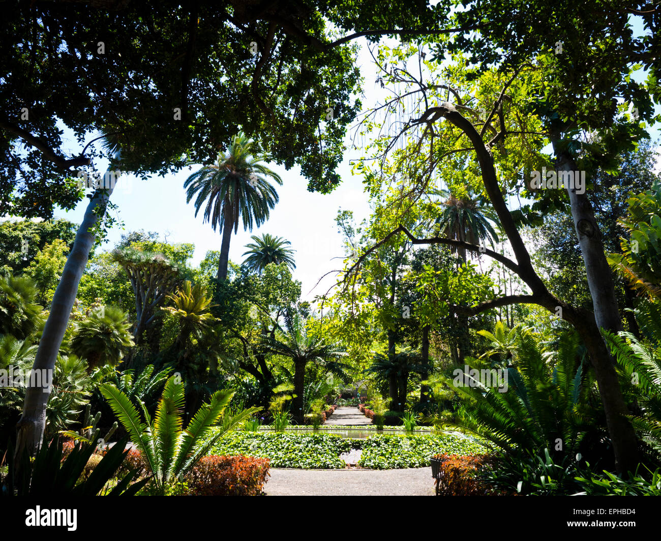 Botanischer Garten Puerto De La Cruz