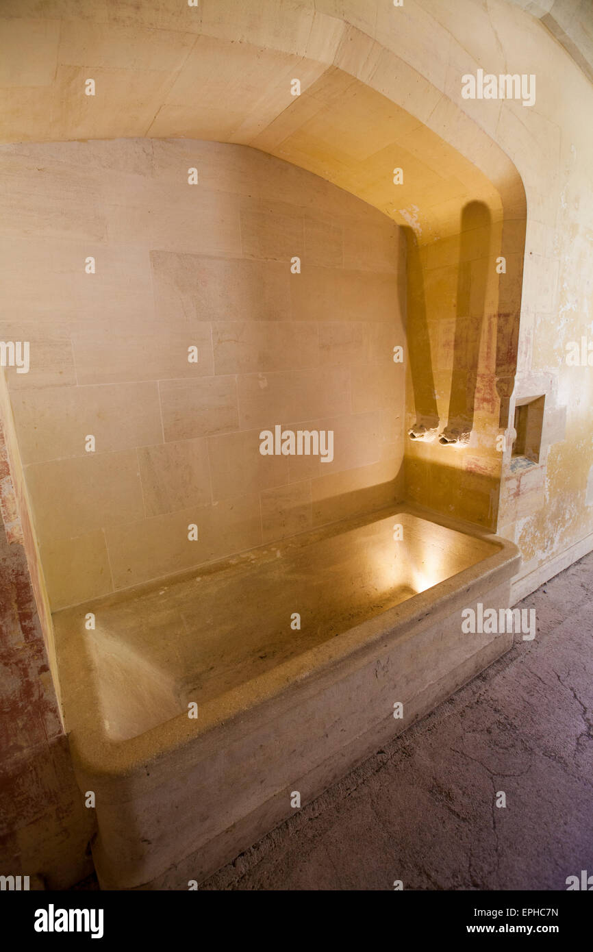A stone bath at Woodchester mansion, Gloucestershire, England Stock Photo