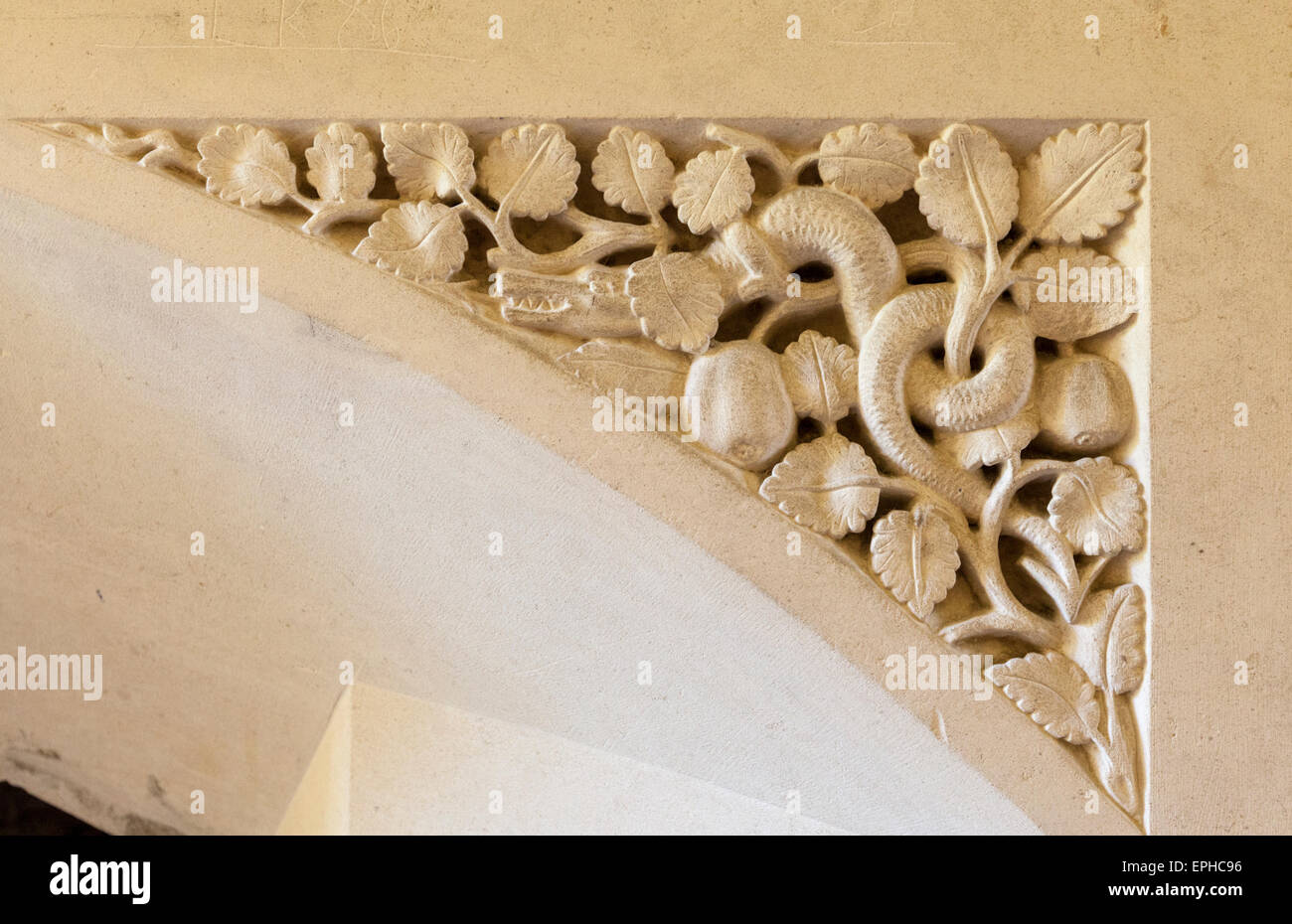 Detail of a stone fireplace carving at Woodchester mansion, Gloucestershire, England Stock Photo