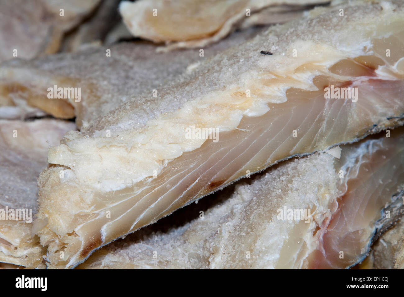 Code fish hi-res stock photography and images - Alamy