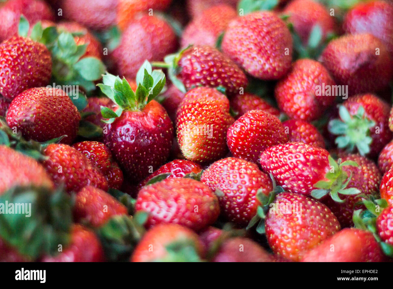 Strawberries organic hi-res stock photography and images - Alamy
