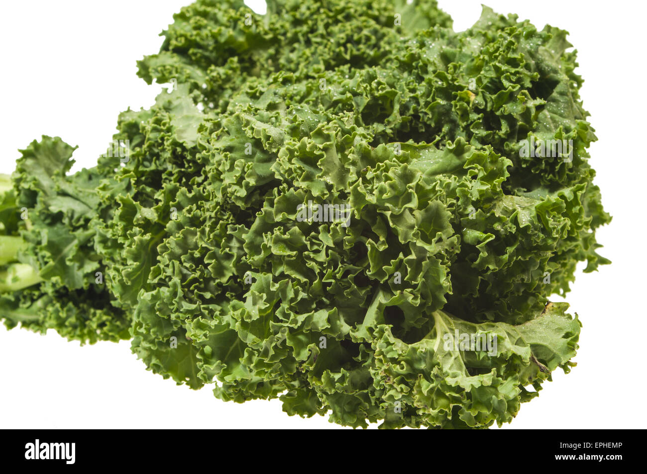 Fresh green kale leaves isolated on white Stock Photo Alamy
