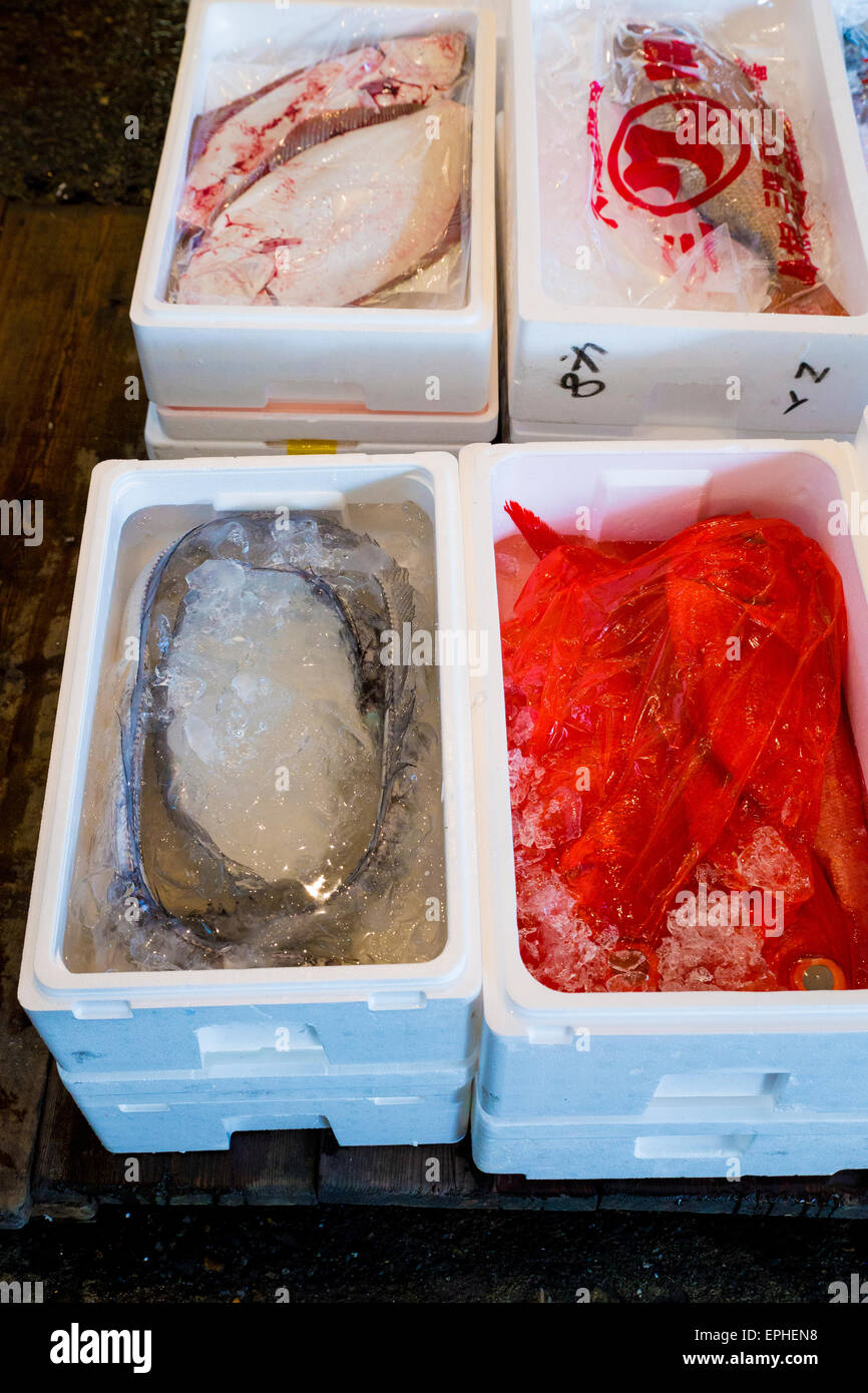 Tsukiji fish market in Tokyo, Japan Stock Photo - Alamy