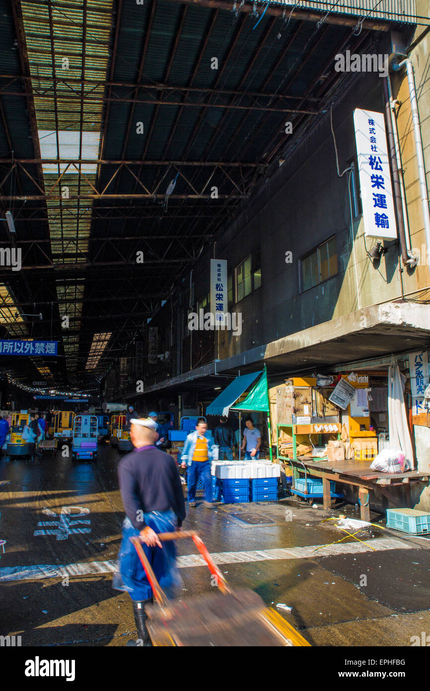 Tsukiji fish market in Tokyo, Japan Stock Photo - Alamy