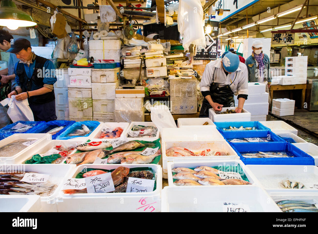 Tsukiji fish market in Tokyo, Japan Stock Photo Alamy