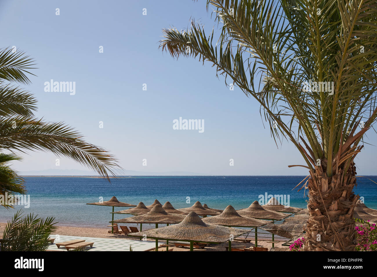 Beach, Red Sea, umbrellas, chaise lounges, branches of date palms against the blue sky, lots of sun Stock Photo