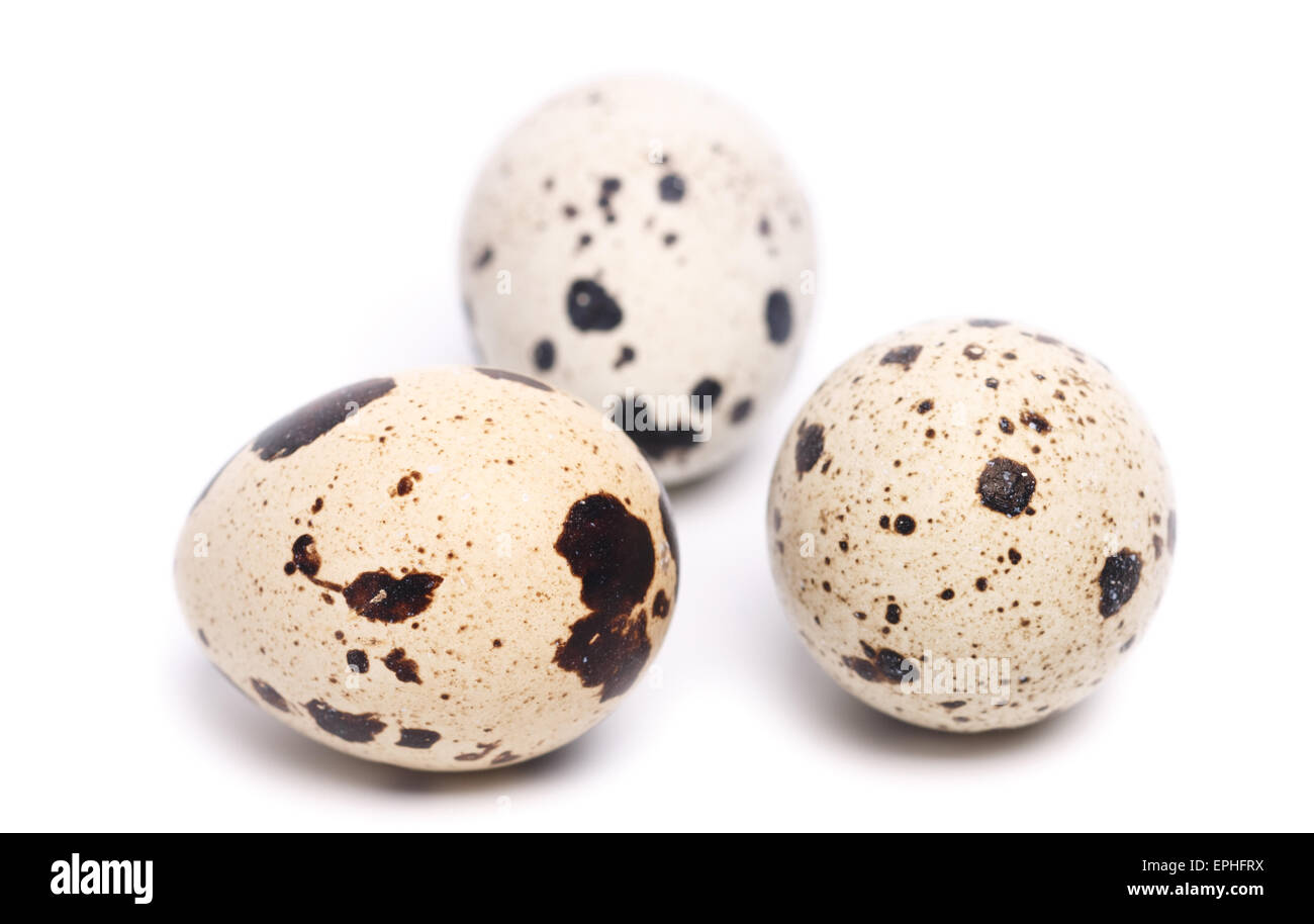 quail eggs Stock Photo